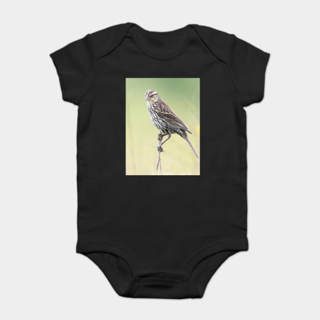 Beautiful female Red Winged Blackbird in a field Baby Bodysuit by BirdsnStuff